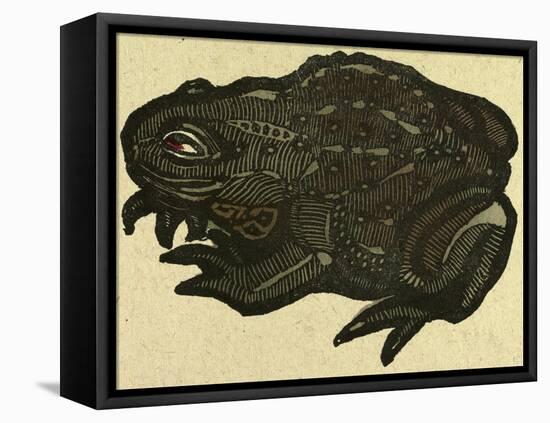 Illustration of English Tales Folk Tales and Ballads, a Toad-null-Framed Premier Image Canvas