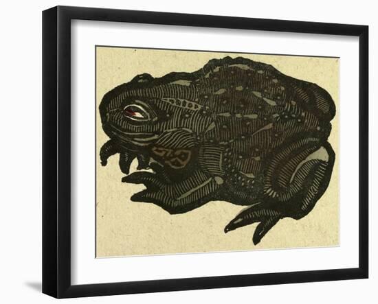 Illustration of English Tales Folk Tales and Ballads, a Toad-null-Framed Giclee Print
