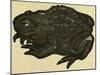 Illustration of English Tales Folk Tales and Ballads, a Toad-null-Mounted Giclee Print