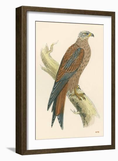 Illustration of Kite on Branch-null-Framed Art Print