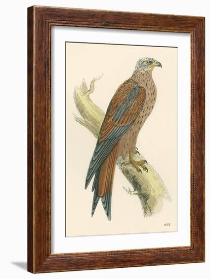 Illustration of Kite on Branch-null-Framed Art Print