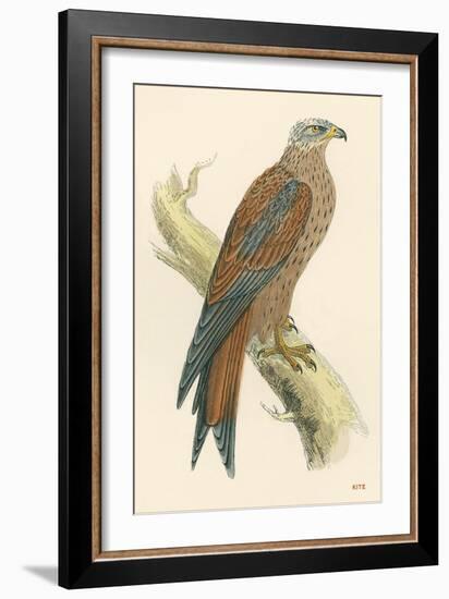 Illustration of Kite on Branch-null-Framed Art Print