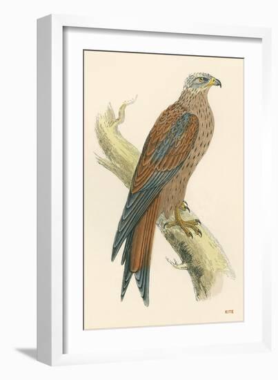 Illustration of Kite on Branch-null-Framed Art Print