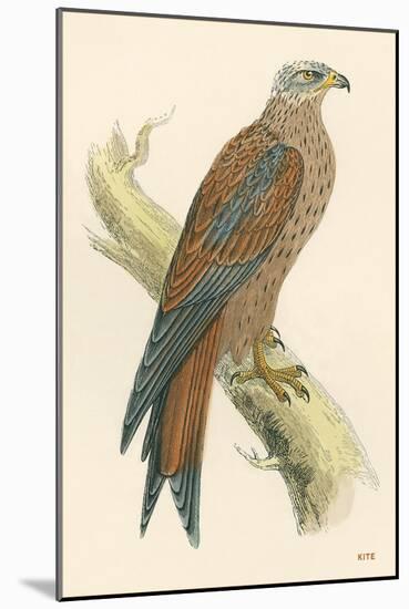 Illustration of Kite on Branch-null-Mounted Art Print