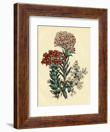 Illustration of Leafy and Colorful Flowers-Bettmann-Framed Giclee Print