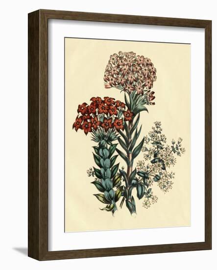 Illustration of Leafy and Colorful Flowers-Bettmann-Framed Giclee Print