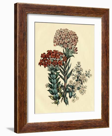 Illustration of Leafy and Colorful Flowers-Bettmann-Framed Giclee Print