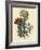 Illustration of Leafy and Colorful Flowers-Bettmann-Framed Giclee Print