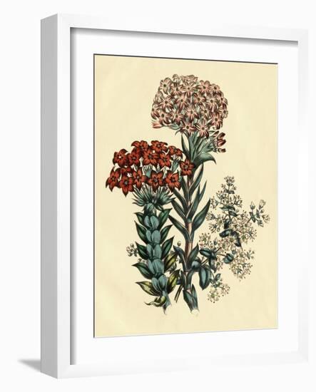 Illustration of Leafy and Colorful Flowers-Bettmann-Framed Giclee Print