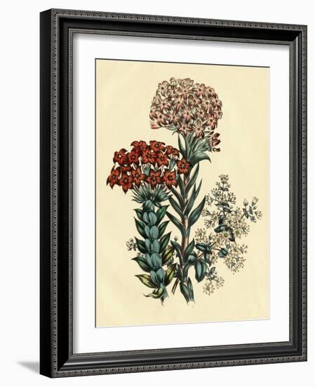 Illustration of Leafy and Colorful Flowers-Bettmann-Framed Giclee Print