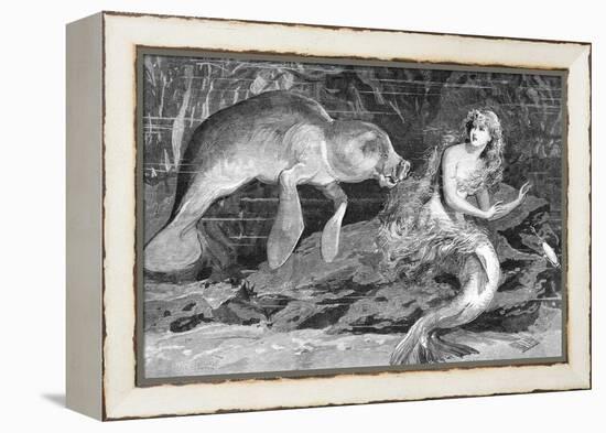Illustration of Meeting between Manatee and Mermaid-null-Framed Premier Image Canvas