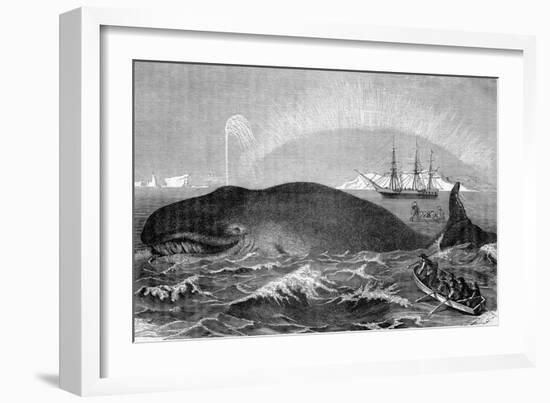 Illustration of Men Attacking Whale with Hand Harpoon-null-Framed Giclee Print