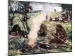 Photographic Print