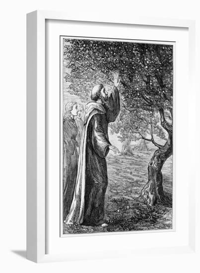 Illustration of Saint Columba Blessing the Apples-null-Framed Giclee Print