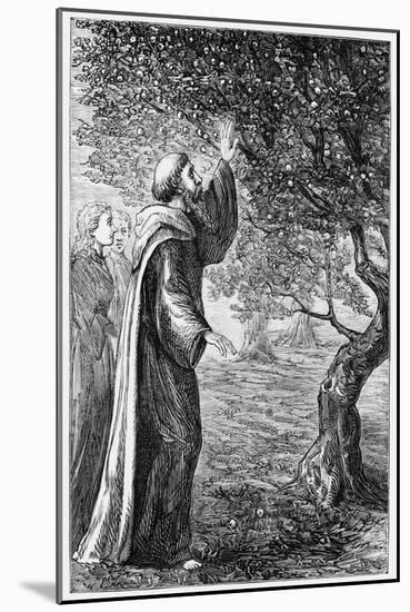 Illustration of Saint Columba Blessing the Apples-null-Mounted Giclee Print