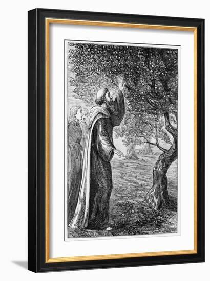 Illustration of Saint Columba Blessing the Apples-null-Framed Giclee Print