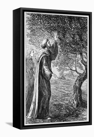 Illustration of Saint Columba Blessing the Apples-null-Framed Premier Image Canvas