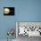 Illustration of Saturn and Earth to Scale-Stocktrek Images-Framed Premier Image Canvas displayed on a wall