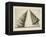 Illustration Of Sculpture-Wenzel Jamnitzer-Framed Premier Image Canvas