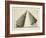 Illustration Of Sculpture-Wenzel Jamnitzer-Framed Giclee Print