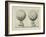 Illustration Of Sculpture-Wenzel Jamnitzer-Framed Giclee Print