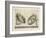 Illustration Of Sculpture-Wenzel Jamnitzer-Framed Giclee Print