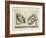 Illustration Of Sculpture-Wenzel Jamnitzer-Framed Giclee Print