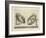 Illustration Of Sculpture-Wenzel Jamnitzer-Framed Giclee Print