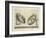 Illustration Of Sculpture-Wenzel Jamnitzer-Framed Giclee Print