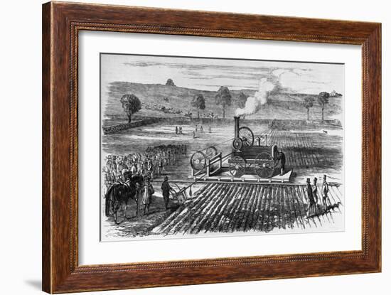 Illustration of Steam Engine Ploughing a Field at Grimsthorpe-null-Framed Giclee Print
