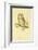 Illustration of Tengmalm's Owl-Edward Lear-Framed Giclee Print