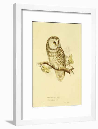 Illustration of Tengmalm's Owl-Edward Lear-Framed Giclee Print