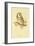 Illustration of Tengmalm's Owl-Edward Lear-Framed Giclee Print