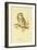 Illustration of Tengmalm's Owl-Edward Lear-Framed Giclee Print