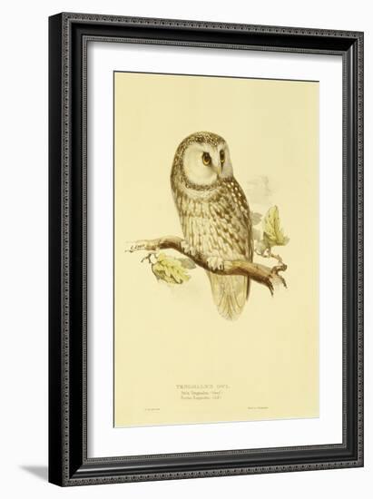 Illustration of Tengmalm's Owl-Edward Lear-Framed Giclee Print