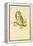 Illustration of Tengmalm's Owl-Edward Lear-Framed Premier Image Canvas