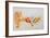 Illustration of the Anatomy of the Human Ear-David Gifford-Framed Photographic Print