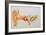 Illustration of the Anatomy of the Human Ear-David Gifford-Framed Photographic Print