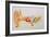 Illustration of the Anatomy of the Human Ear-David Gifford-Framed Photographic Print