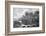 Illustration of the Death of Captain James Cook-Bettmann-Framed Photographic Print