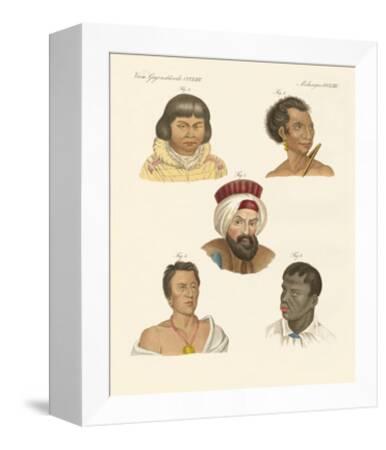 5 human races
