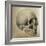 Illustration of the Skull of a Bushman of the Hottentot Tribe Africa-null-Framed Art Print