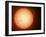 Illustration of the Sun with Visible Dark Sunspots on the Surface, Prominences and Some Solar Wind-Stocktrek Images-Framed Photographic Print