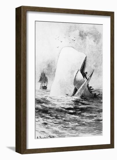 Illustration of the White Whale-A. Burnham Shute-Framed Giclee Print