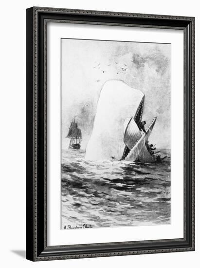 Illustration of the White Whale-A. Burnham Shute-Framed Giclee Print