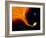 Illustration 'Red Giant-Black Hole'-Julian Baum-Framed Photographic Print