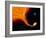 Illustration 'Red Giant-Black Hole'-Julian Baum-Framed Photographic Print