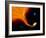 Illustration 'Red Giant-Black Hole'-Julian Baum-Framed Photographic Print