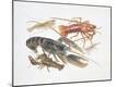 Giclee Print