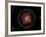 Illustration Showing a Group of Asteroids and their Orbits around the Sun, Compared to the Planets-Stocktrek Images-Framed Photographic Print